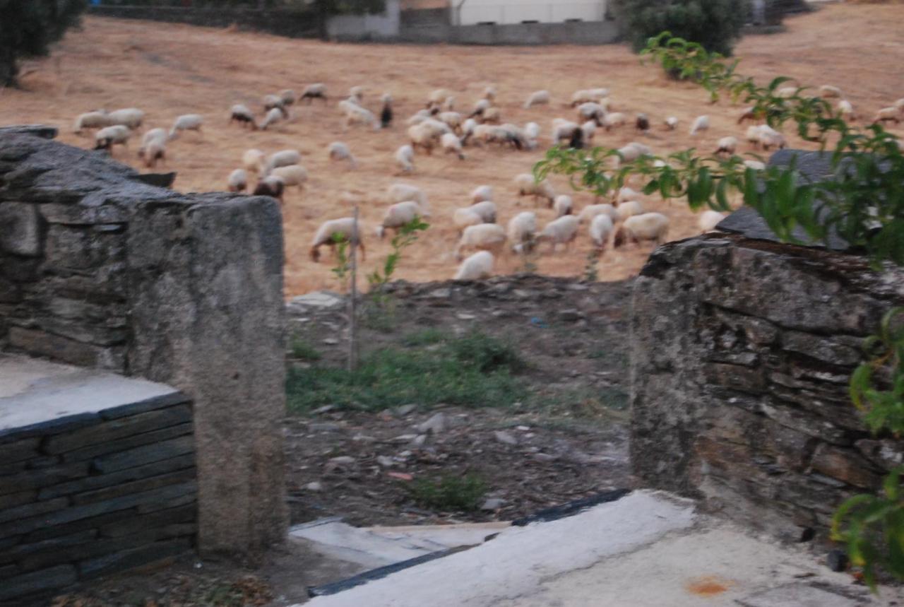 מלון Muxagata  Casa Dos Primos מראה חיצוני תמונה