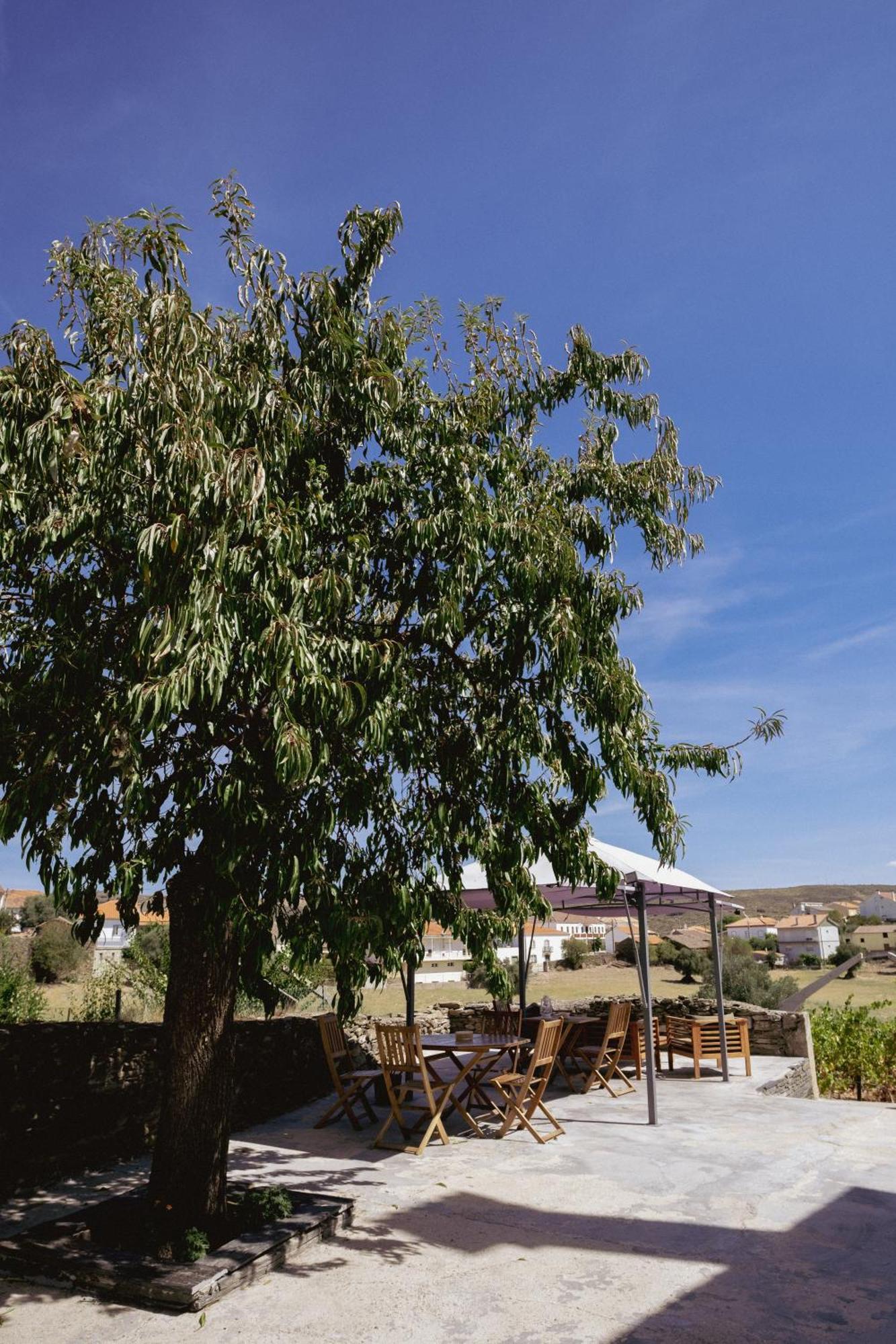 מלון Muxagata  Casa Dos Primos מראה חיצוני תמונה